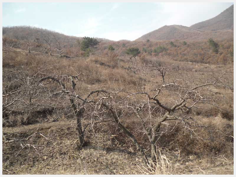 21̖(h��o) �������R�L(f��ng)�(zh��n)ʯ�����֙�(qu��n)