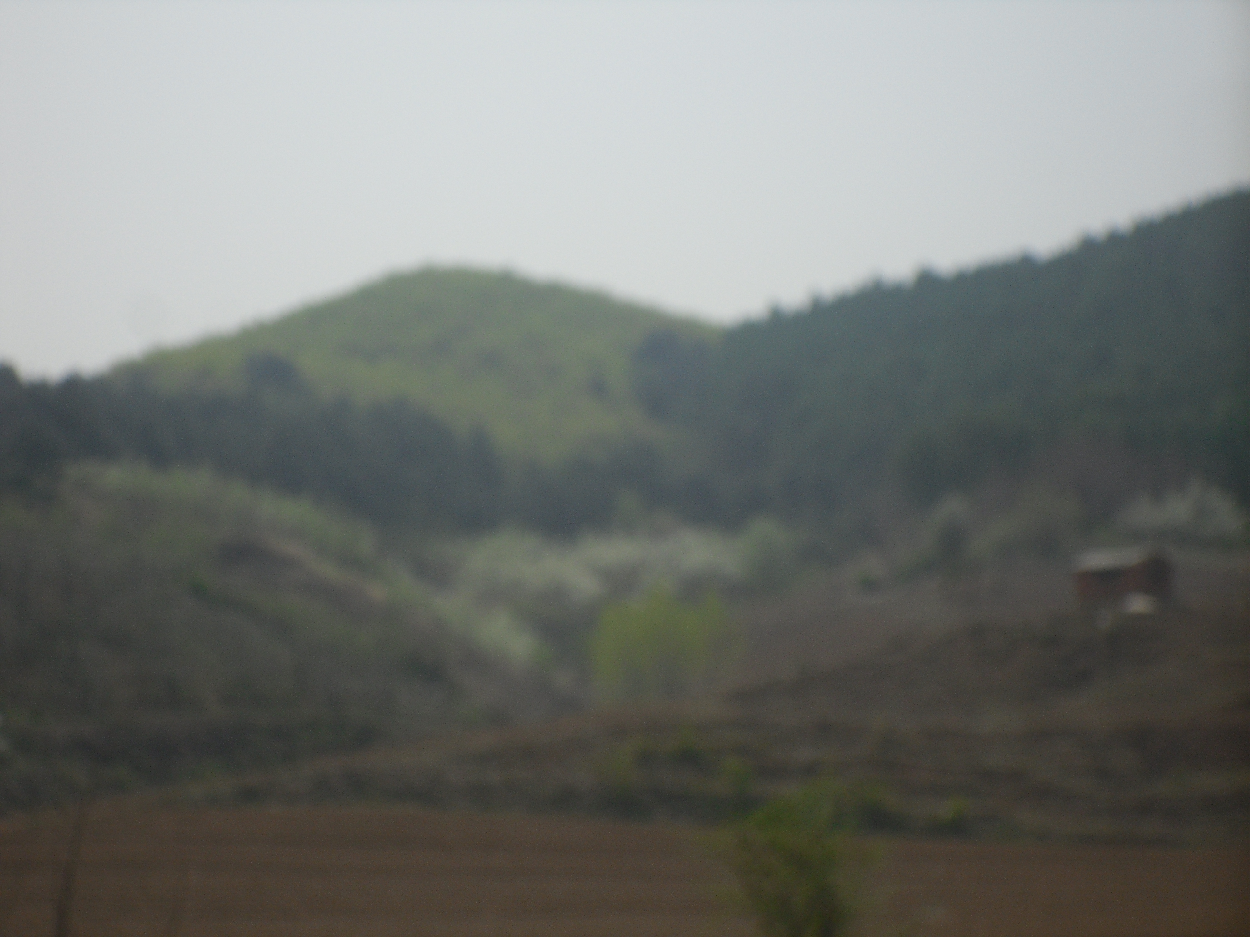 6̖ �����в���(zh��n)�����������ɽ��ʹ�Ù�(qu��n)�����Ϲ���