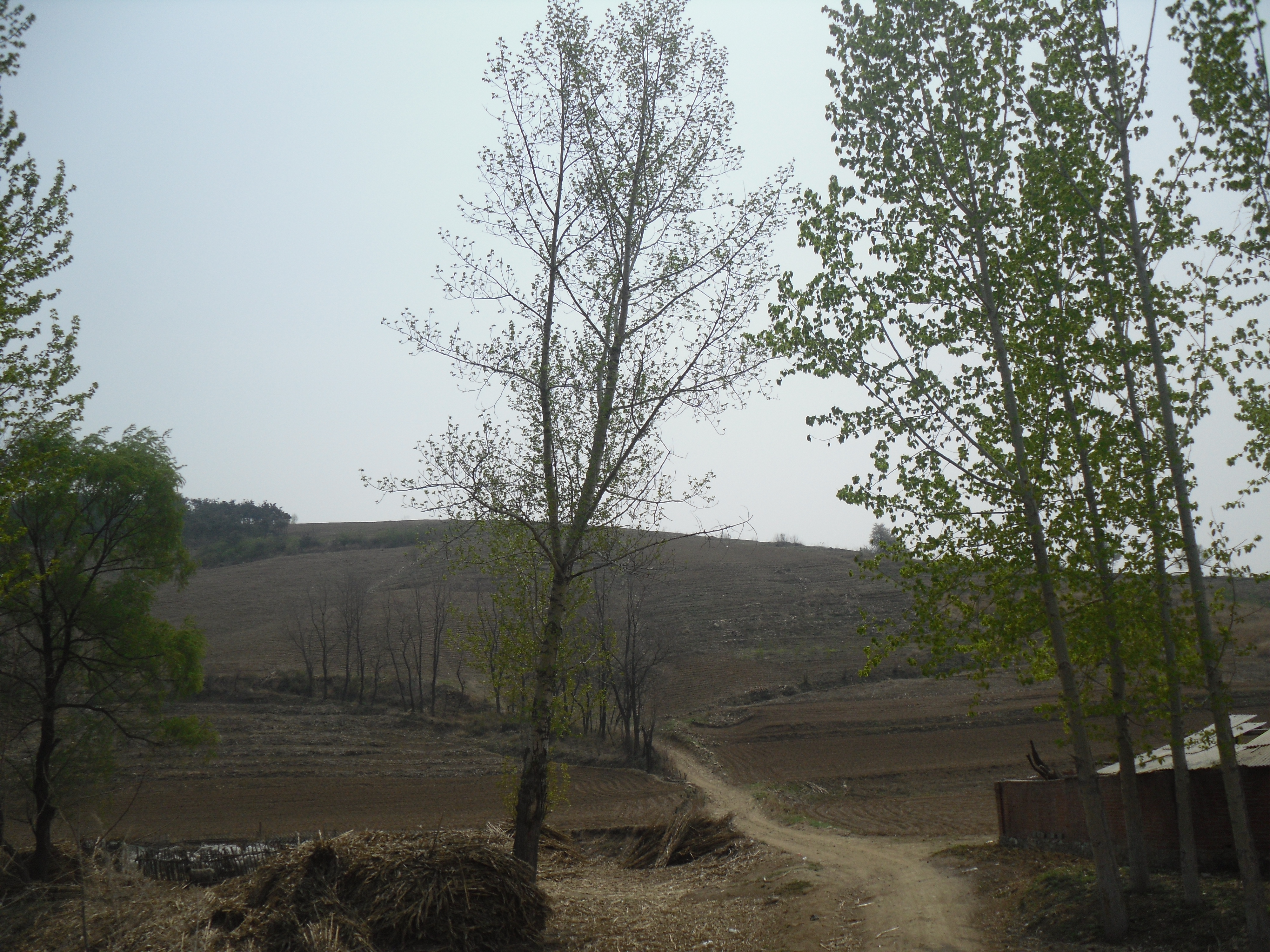 8̖ �����в���(zh��n)���ʹ�3�M��ɽɽ�ϸ���ʹ�Ù�(qu��n)