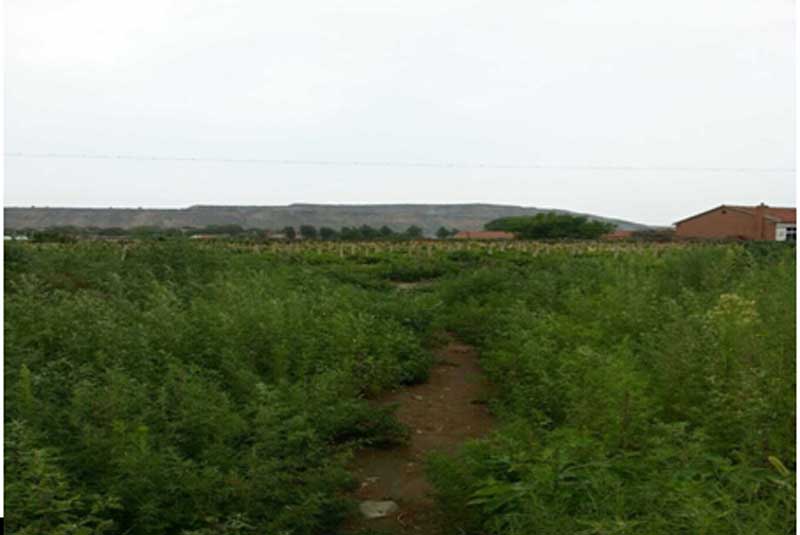 31̖ ��ɽ��ǧɽ�^(q��)�Ƽҷ��(zh��n)�W����C������ʹ�Ù�(qu��n)